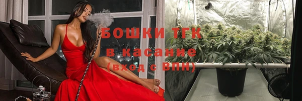дживик Аркадак