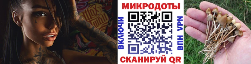 Галлюциногенные грибы ЛСД  купить наркотик  Йошкар-Ола 