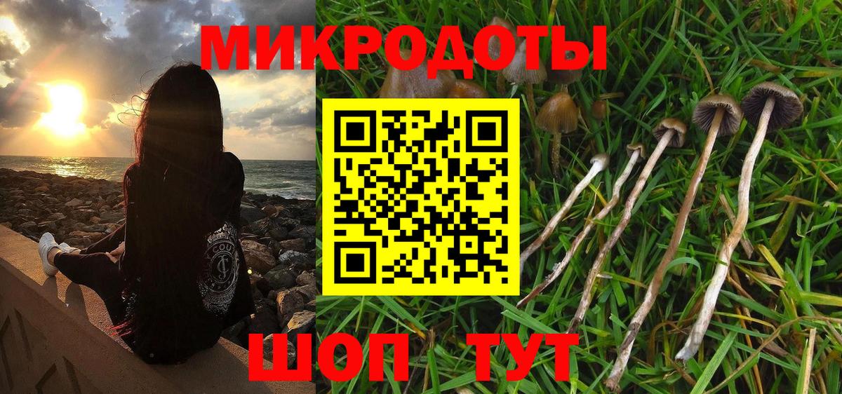Йошкар-Ола  Псилоцибиновые грибы Cubensis  Вход с VPN  Псилоцибиновые грибы мицелий 